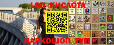 гидропоника Гусев