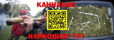 гидропоника Гусев