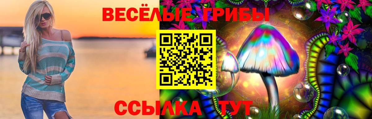 Галлюциногенные грибы Psilocybe Великие Луки